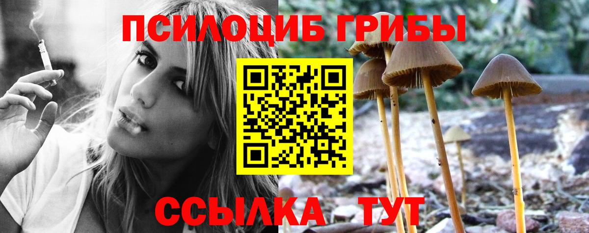 Галлюциногенные грибы мицелий Прокопьевск