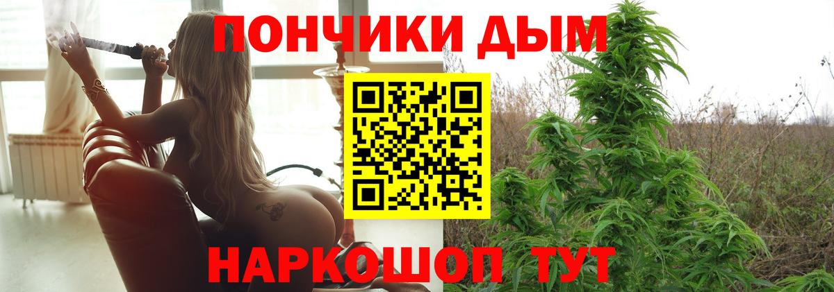 Шишки марихуана марихуана  Вход с VPN  Бошки Шишки White Widow  Прокопьевск  Канабис план  Канабис MAZAR 